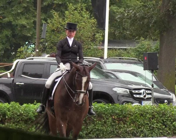 Reitturnier Wedel-Catharinenhof 2019