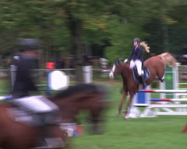 Reitturnier Wedel-Catharinenhof 2019