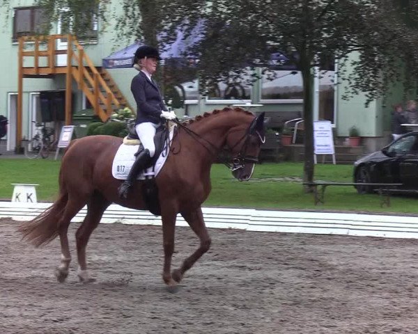 Reitturnier Wedel-Catharinenhof 2019