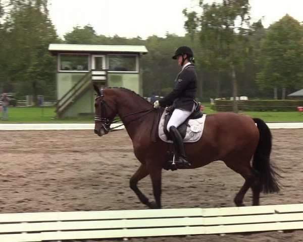 Reitturnier Wedel-Catharinenhof 2019