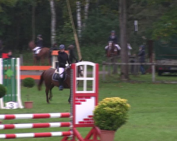 Reitturnier Wedel-Catharinenhof 2019