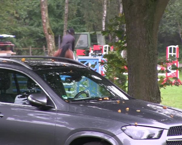 Reitturnier Wedel-Catharinenhof 2019