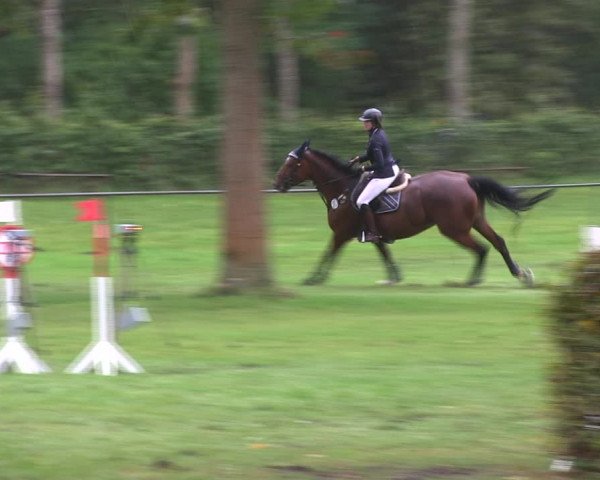 Reitturnier Wedel-Catharinenhof 2019