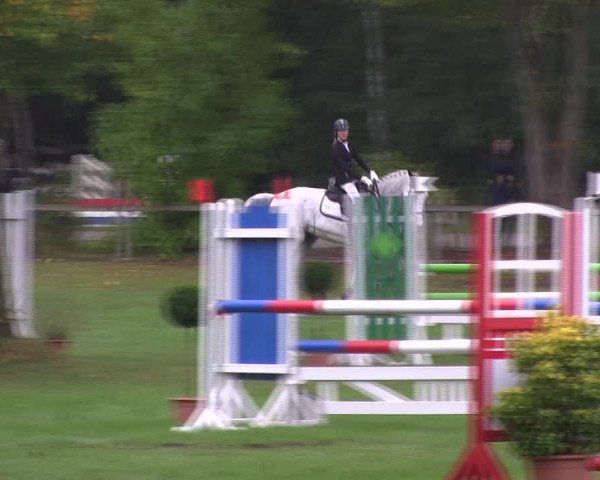 Reitturnier Wedel-Catharinenhof 2019