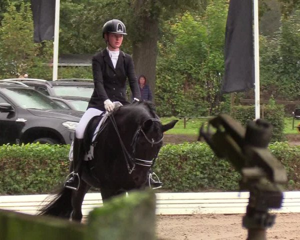 Reitturnier Wedel-Catharinenhof 2019