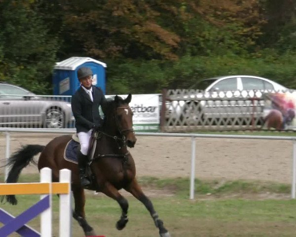 Reitturnier Wernigerode 2019