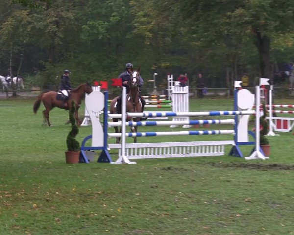 Reitturnier Wedel-Catharinenhof 2019
