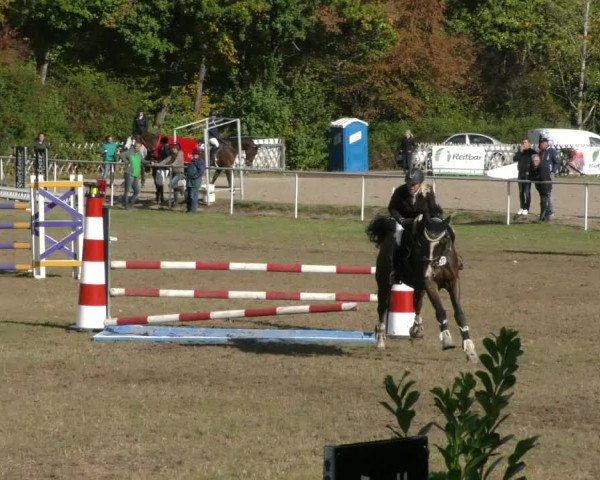 Reitturnier Wernigerode 2019