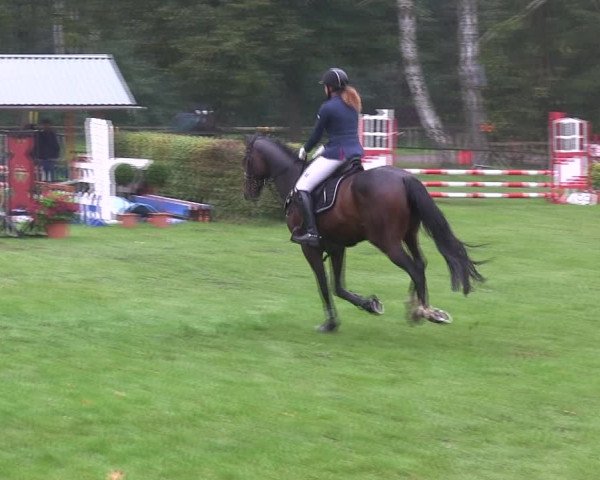 Reitturnier Wedel-Catharinenhof 2019
