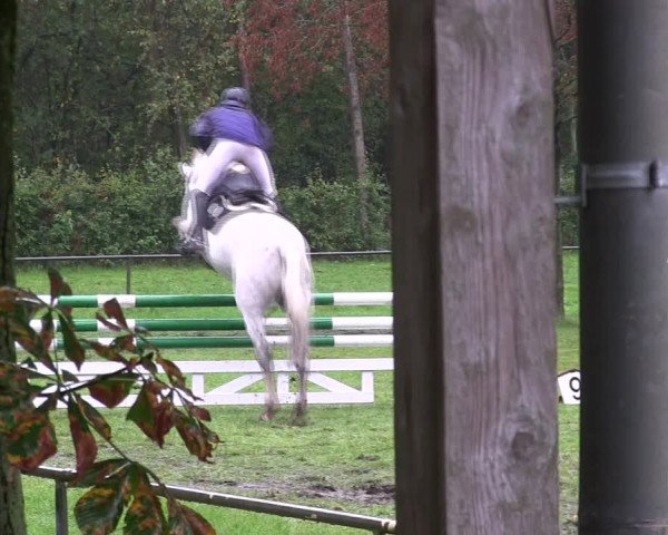 Reitturnier Wedel-Catharinenhof 2019