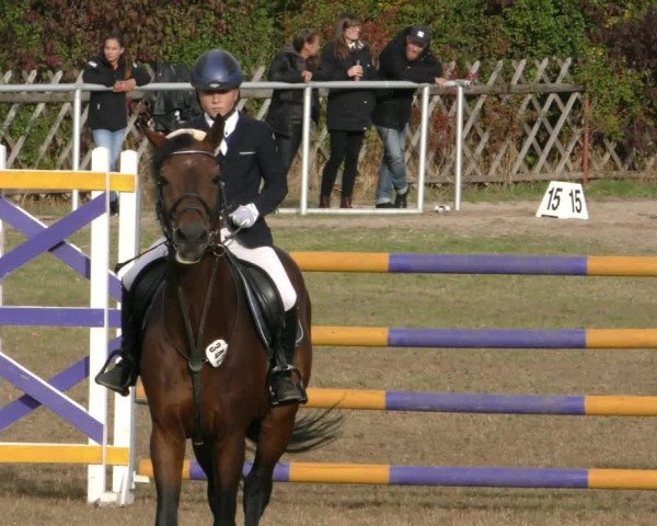 Reitturnier Wernigerode 2019
