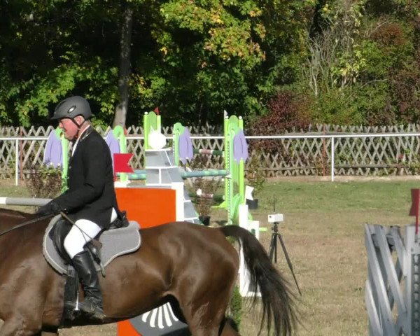 Reitturnier Wernigerode 2019