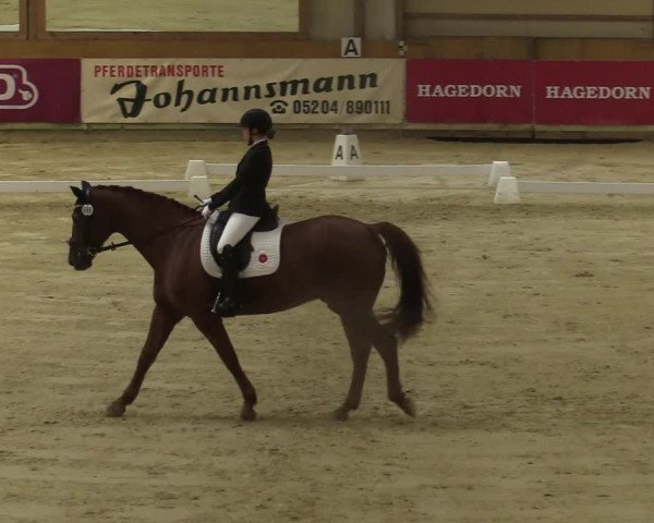 Steinhagen Classics 2021