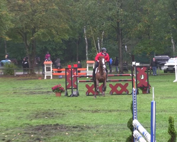 Reitturnier Wedel-Catharinenhof 2019