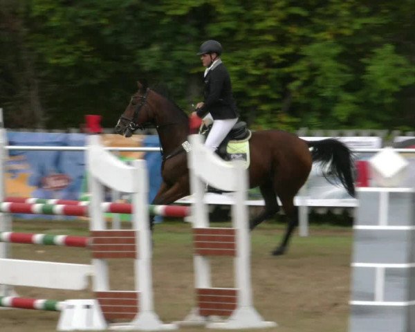 Reitturnier Wernigerode 2019