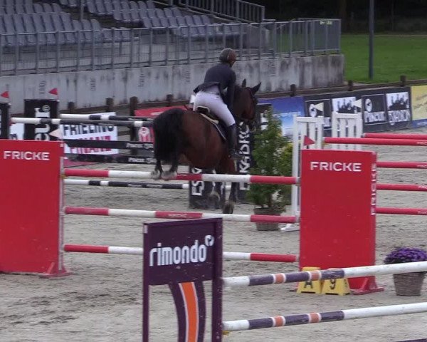 Reitturnier Westergellersen 2021