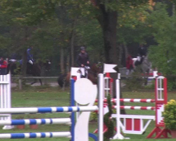 Reitturnier Wedel-Catharinenhof 2019