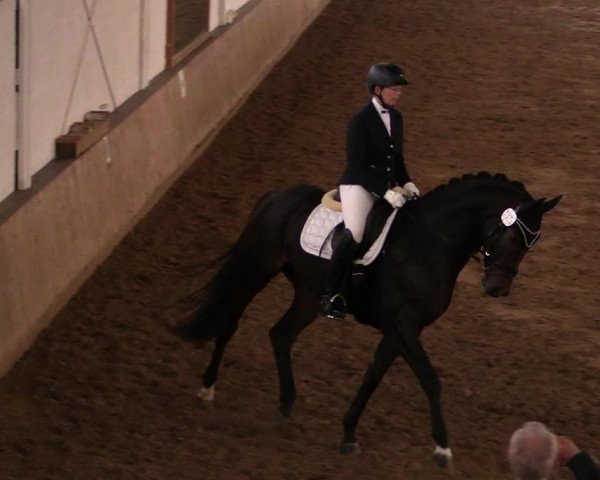Reitturnier Lüdinghausen-Westrup 2019