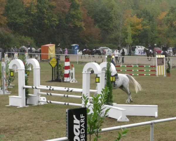 Reitturnier Wernigerode 2019