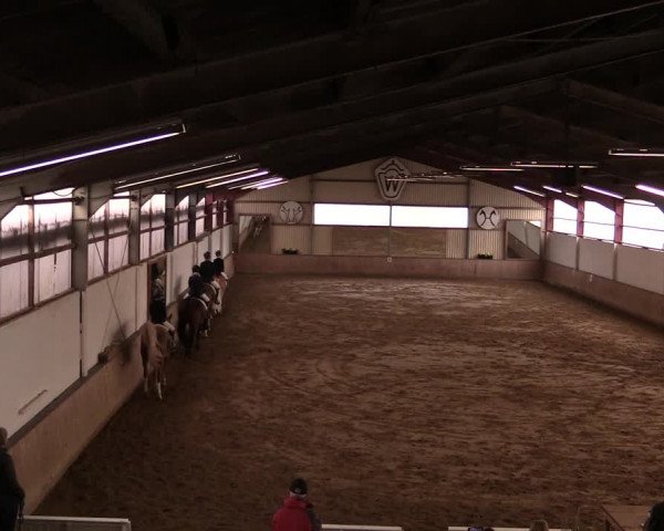 Reitturnier Lüdinghausen-Westrup 2019