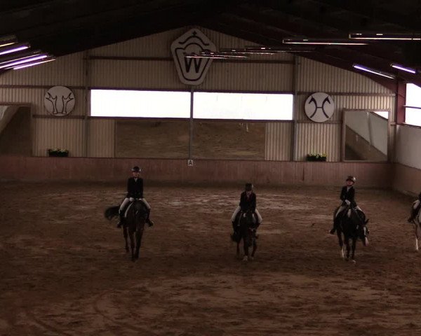 Reitturnier Lüdinghausen-Westrup 2019
