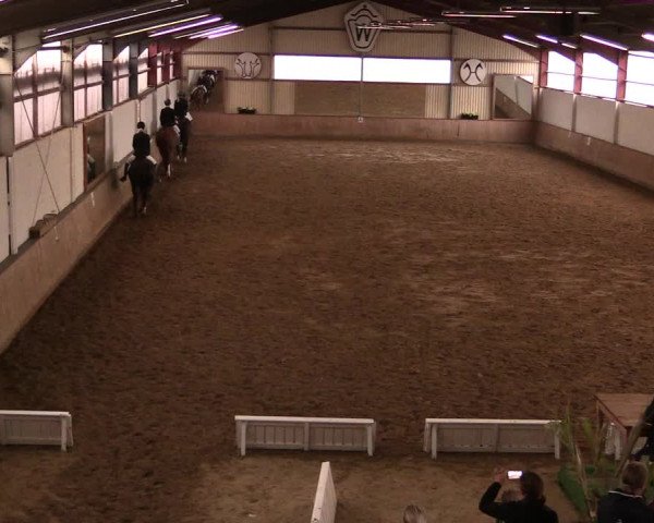 Reitturnier Lüdinghausen-Westrup 2019
