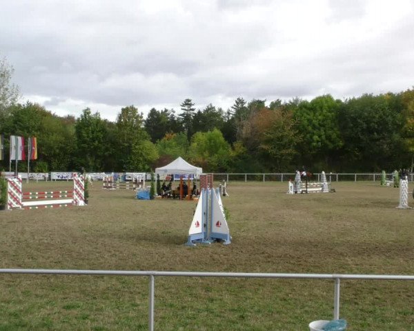 Reitturnier Wernigerode 2019