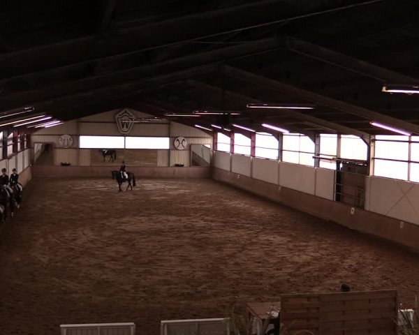 Reitturnier Lüdinghausen-Westrup 2019
