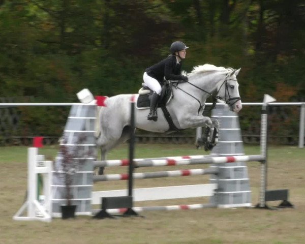 Reitturnier Wernigerode 2019