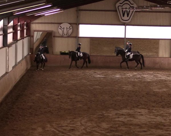 Reitturnier Lüdinghausen-Westrup 2019