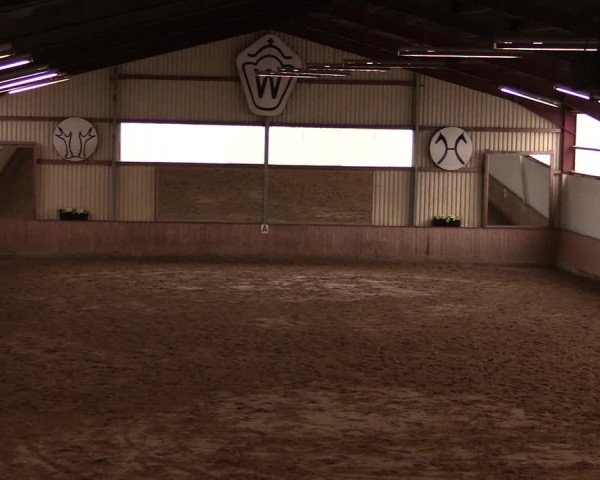 Reitturnier Lüdinghausen-Westrup 2019