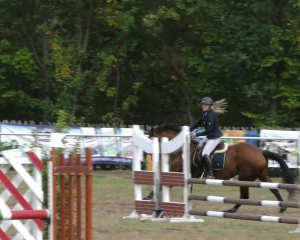 Reitturnier Wernigerode 2019