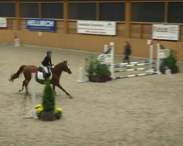 Reitturnier Xanten - Reitanlage Miss 2019
