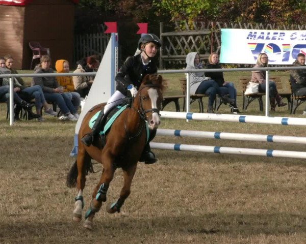 Reitturnier Wernigerode 2019