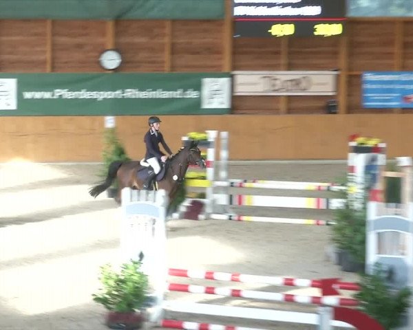 Reitturnier Xanten - Reitanlage Miss 2019