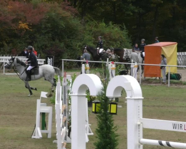 Reitturnier Wernigerode 2019