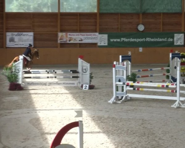 Reitturnier Xanten - Reitanlage Miss 2019