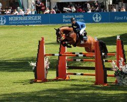 jumper Quik Star (Bavarian, 2008, from Quadrigus M)