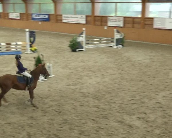 Reitturnier Xanten - Reitanlage Miss 2019