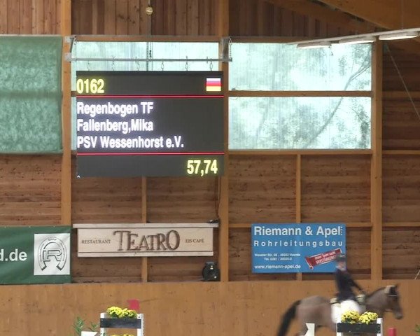 Reitturnier Xanten - Reitanlage Miss 2019