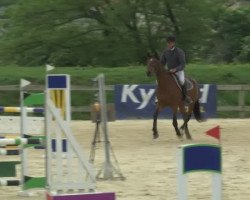 horse Acrobate de Chanay (Selle Français, 2010, from Thoas du Theillet)