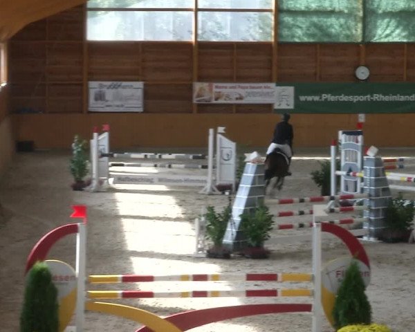 Reitturnier Xanten - Reitanlage Miss 2019