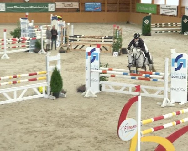 Reitturnier Xanten - Reitanlage Miss 2019