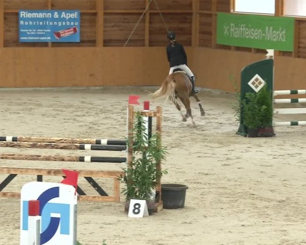 Reitturnier Xanten - Reitanlage Miss 2019