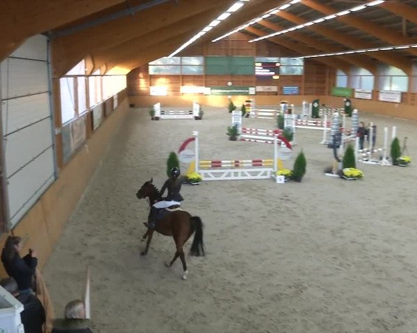 Reitturnier Xanten - Reitanlage Miss 2019