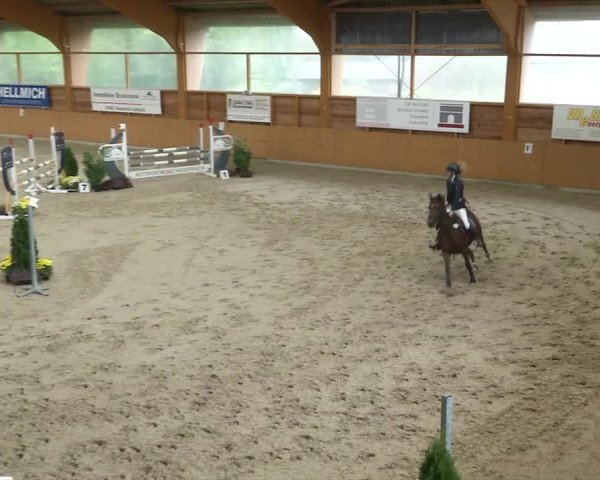 Reitturnier Xanten - Reitanlage Miss 2019