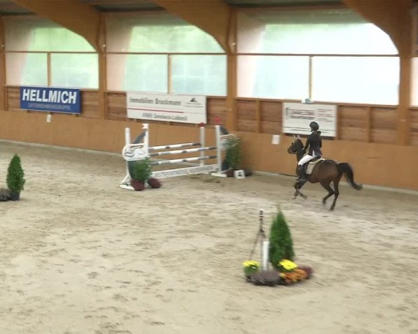 Reitturnier Xanten - Reitanlage Miss 2019