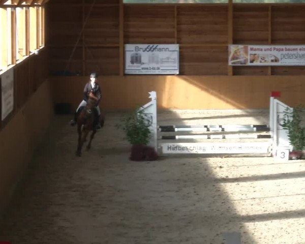 Reitturnier Xanten - Reitanlage Miss 2019