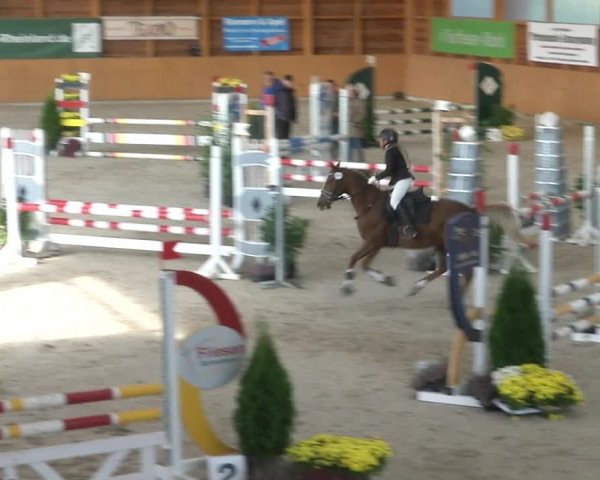 Reitturnier Xanten - Reitanlage Miss 2019