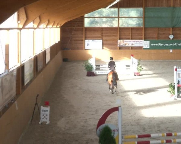 Reitturnier Xanten - Reitanlage Miss 2019